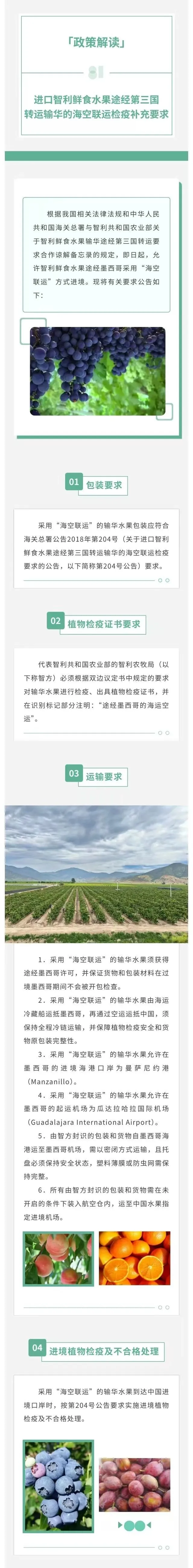 政策解读  进口智利鲜食水果途经第三国转运输华的海空联运检疫补充要求