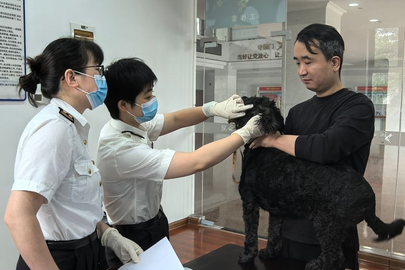 5月14日，株洲海关对一批出境伴侣宠物开展现场查检